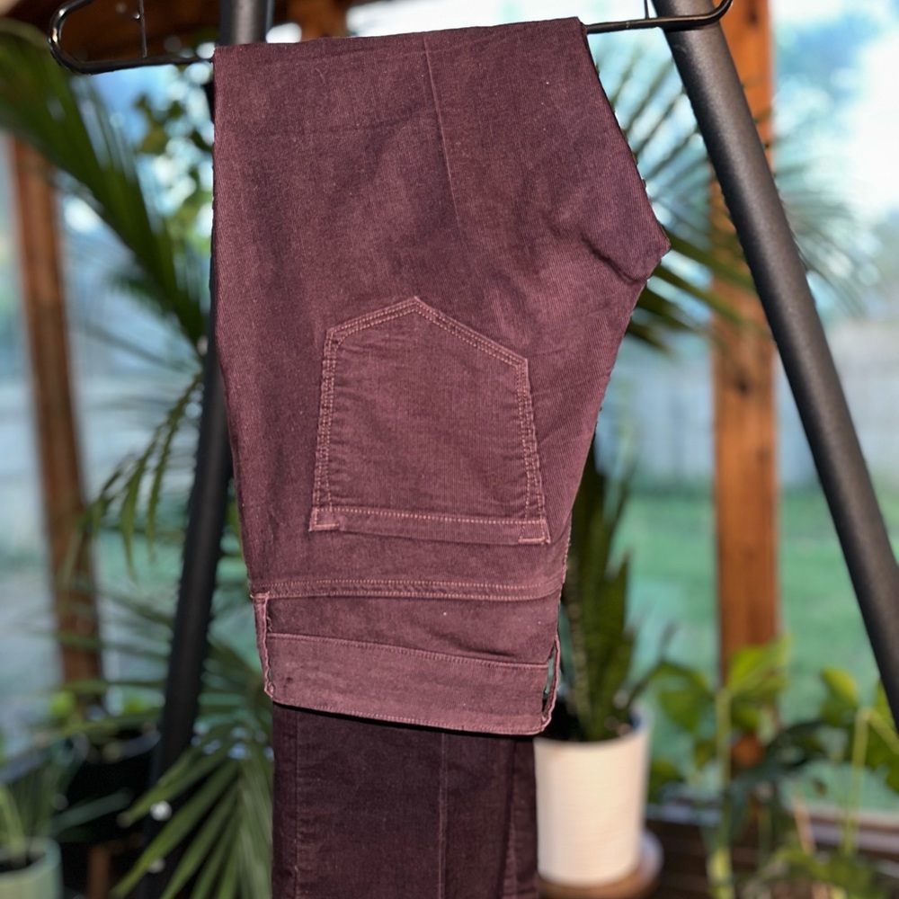 Plum Corduroy Pants from LOFT
